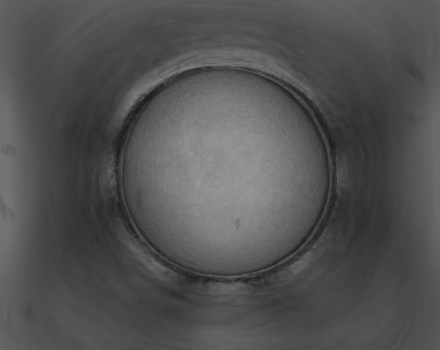 X0000090981498200708021447