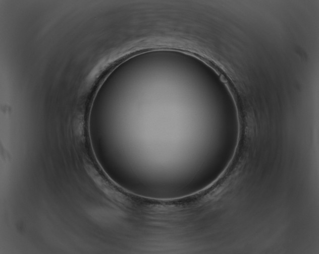 X0000090981499200708021447