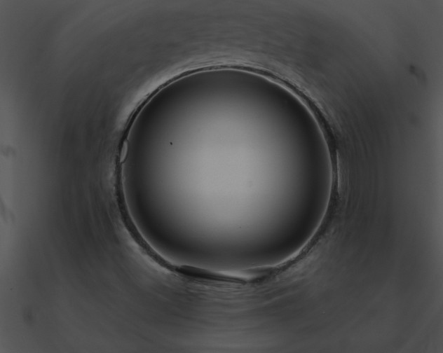 X0000090981500200708021447