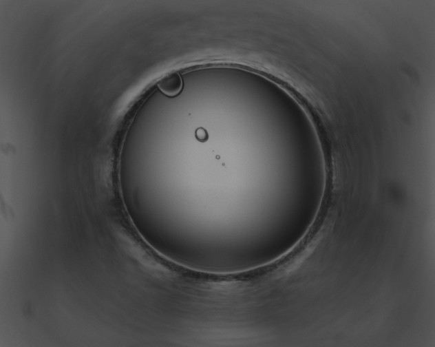 X0000090981502200708021448