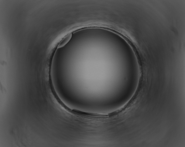 X0000090981504200708021448