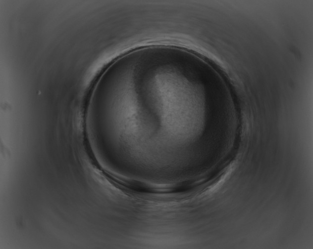X0000090981506200708021448
