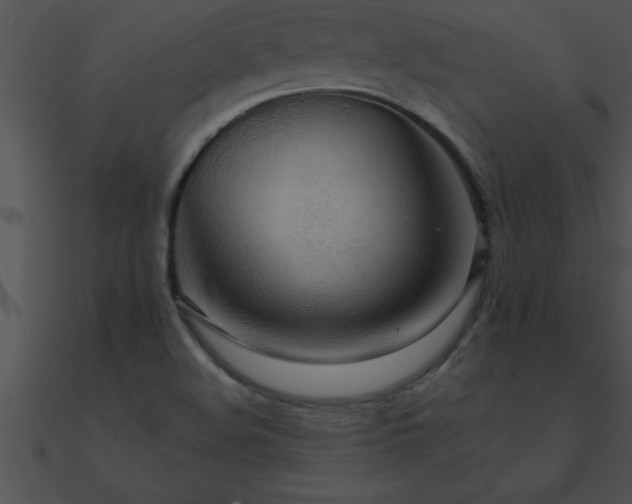 X0000090981508200708021448