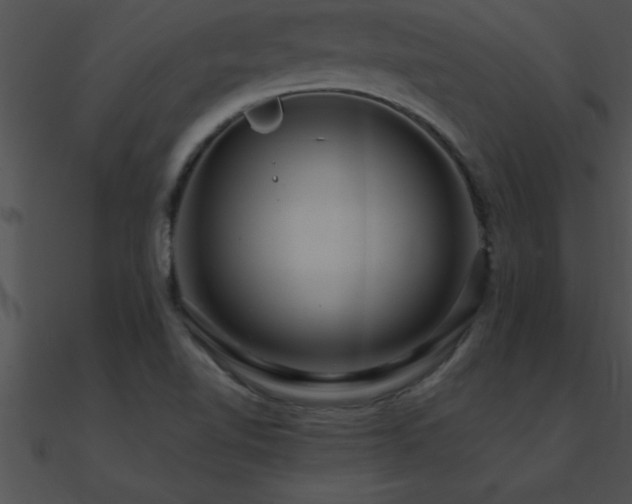 X0000090981510200708021448
