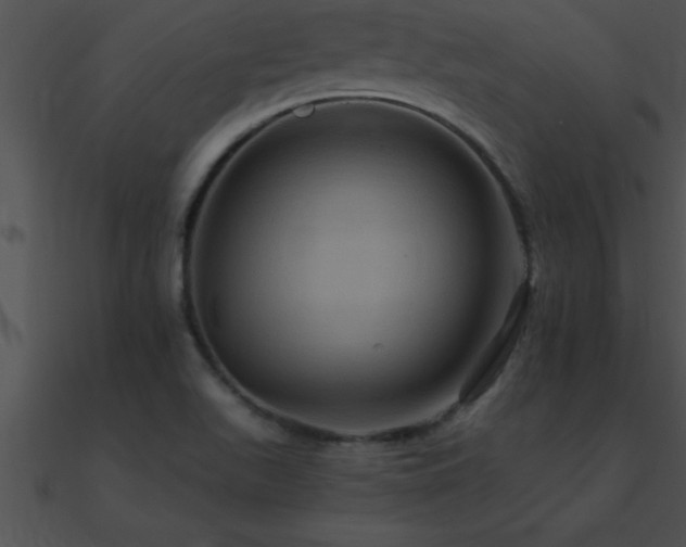 X0000090981511200708021448