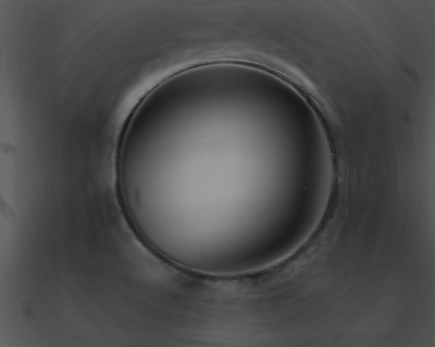 X0000090981512200708021448