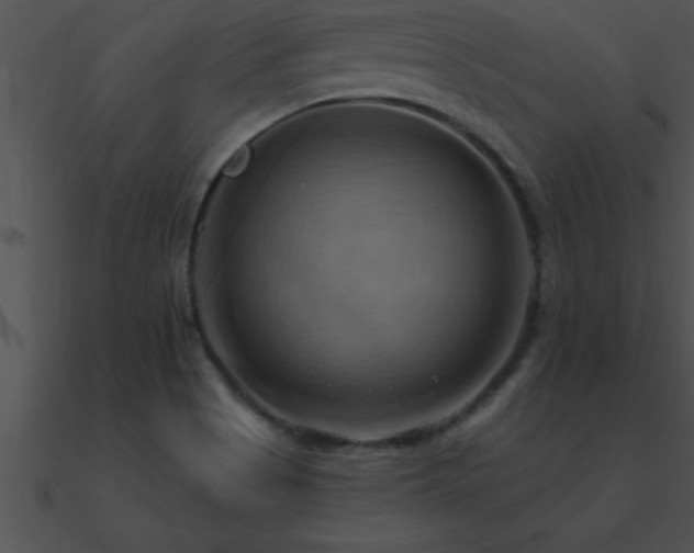 X0000090981513200708021448
