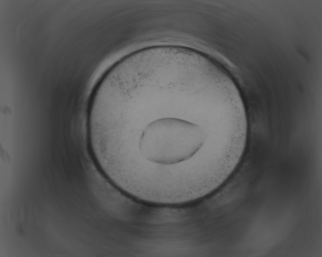 X0000090981514200708021448