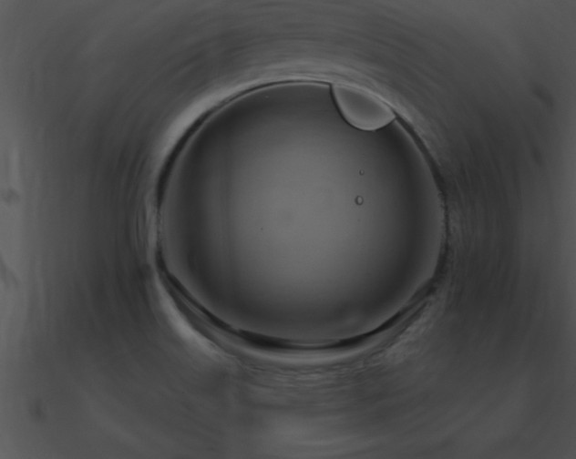 X0000090981515200708021448