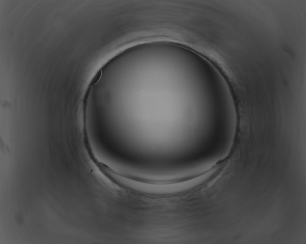 X0000090981516200708021448