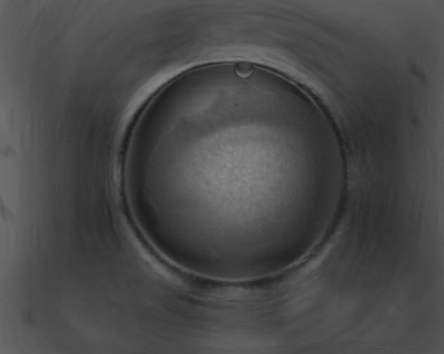 X0000090981517200708021448