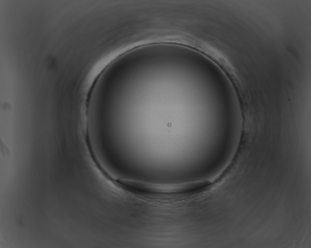 X0000090981520200708021448