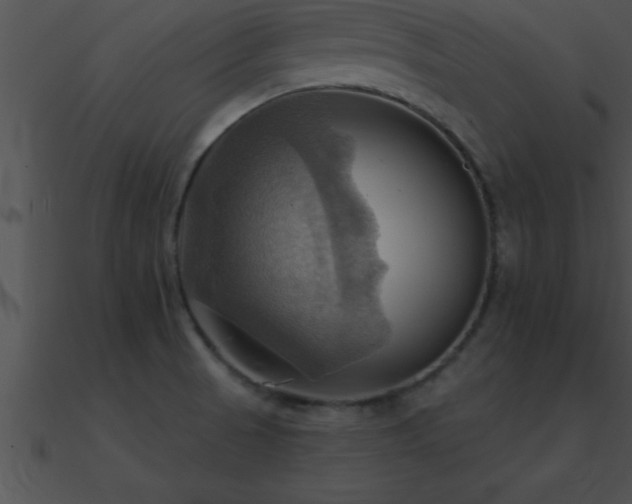 X0000090981521200708021448