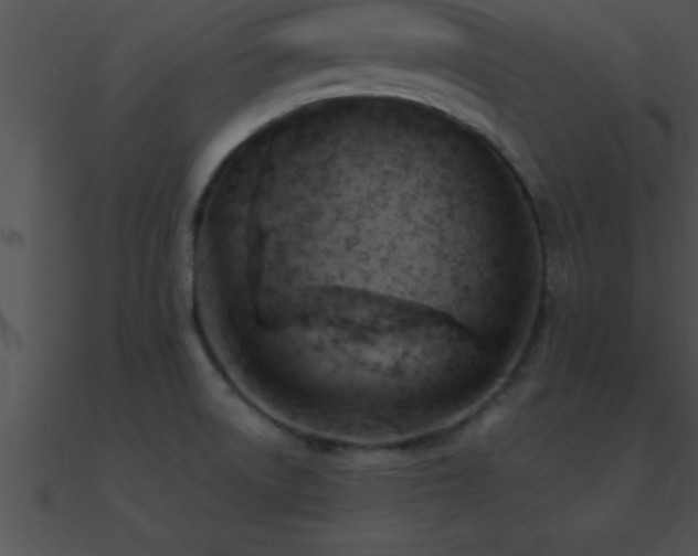 X0000090981522200708021448