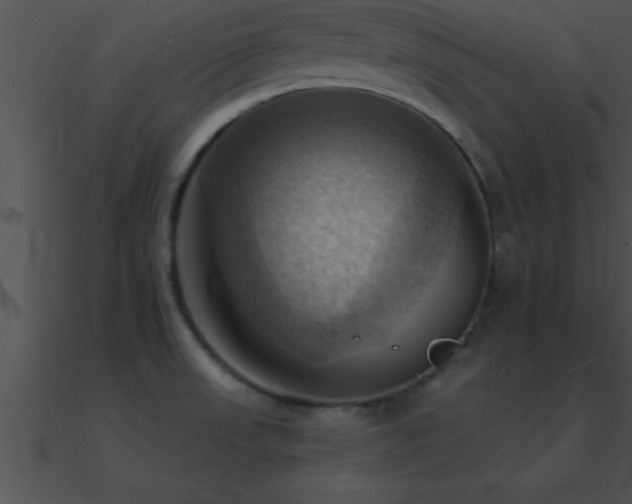 X0000090981523200708021448