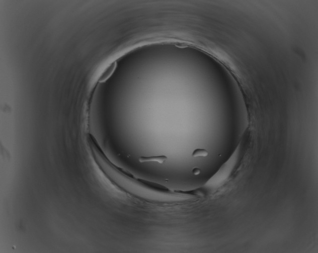 X0000090981524200708021448