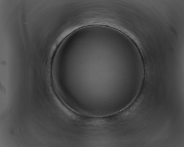 X0000090981525200708021448