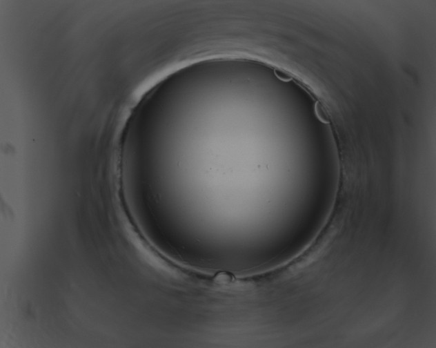 X0000090981526200708021448