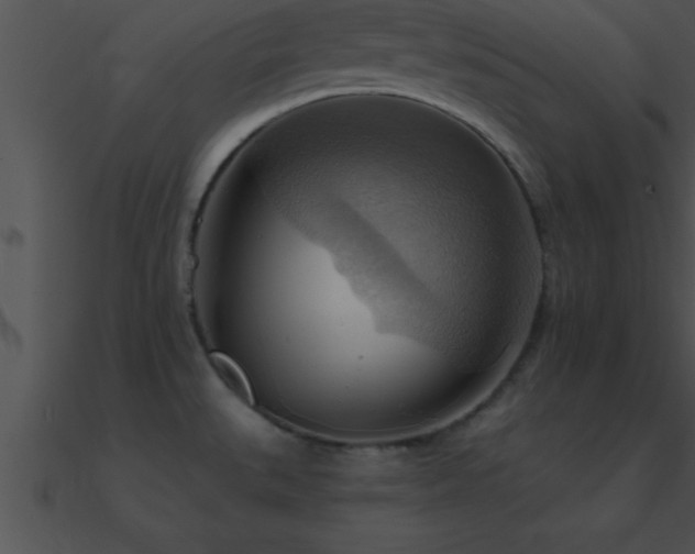 X0000090981527200708021448