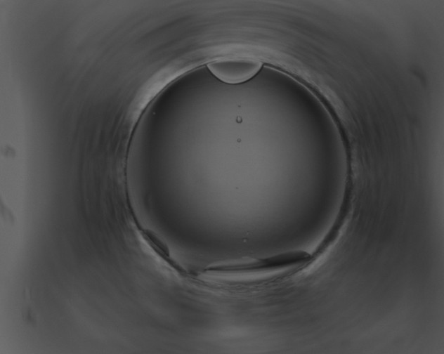 X0000090981529200708021448