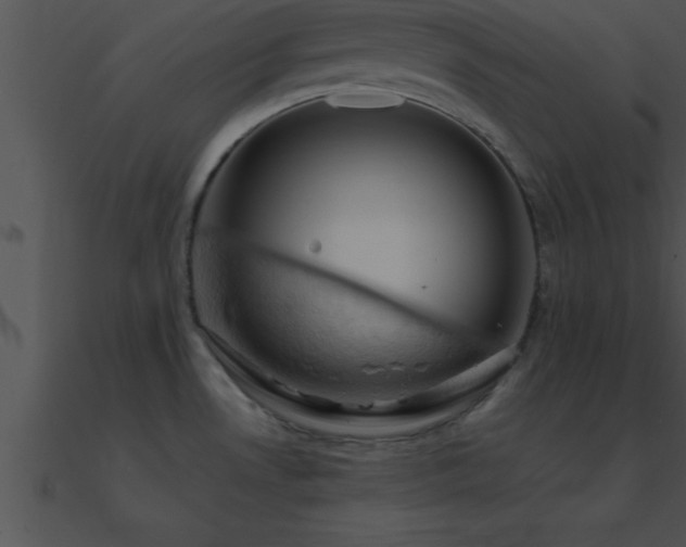 X0000090981530200708021448