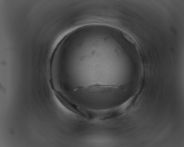 X0000090981531200708021448