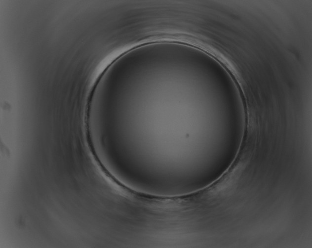 X0000090981533200708021448