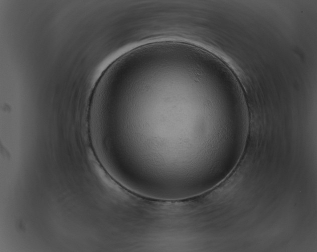 X0000090981534200708021448