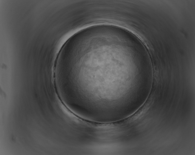 X0000090981535200708021448