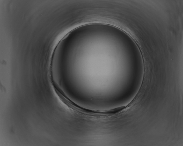X0000090981536200708021448