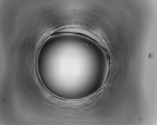 X0000090980001200708091507