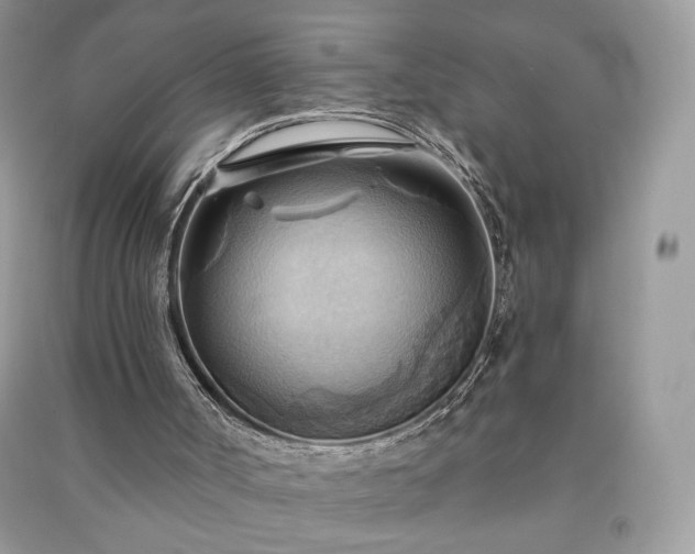 X0000090980002200708091507