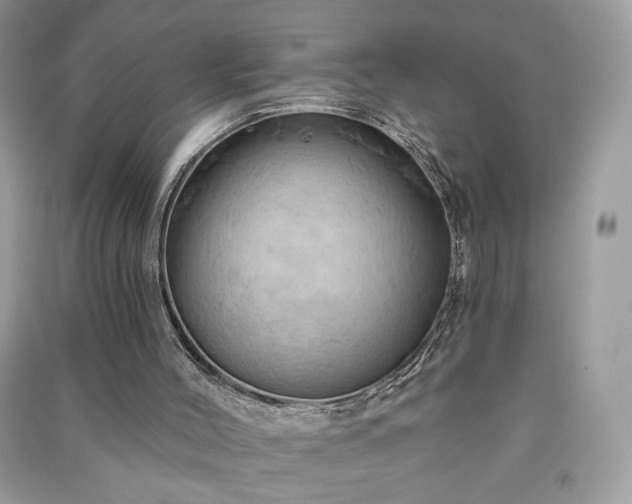 X0000090980004200708091507