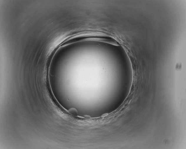 X0000090980005200708091507