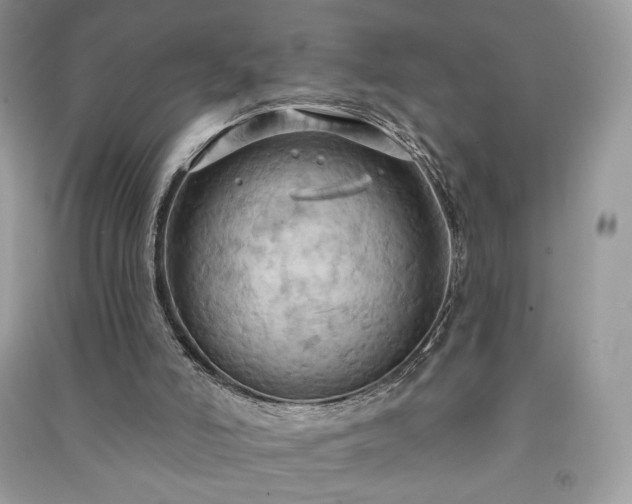X0000090980006200708091507