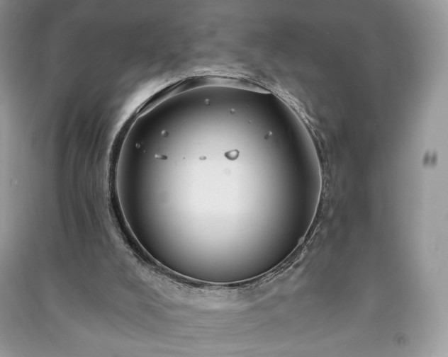 X0000090980008200708091507