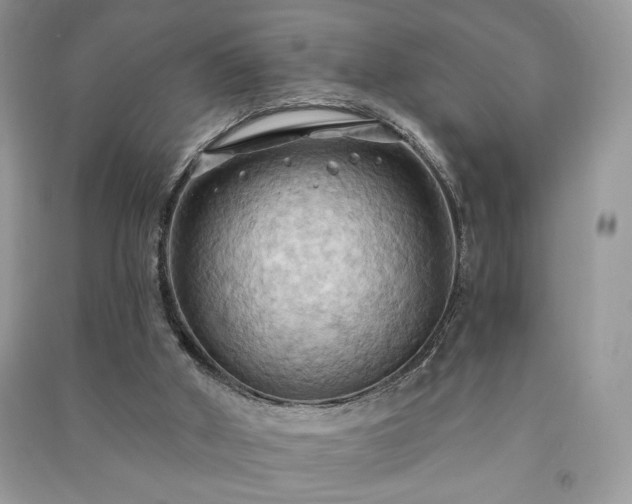 X0000090980010200708091507