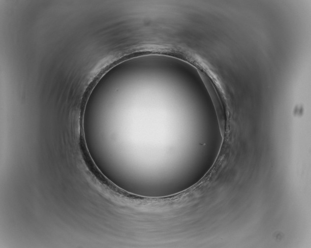 X0000090980011200708091507