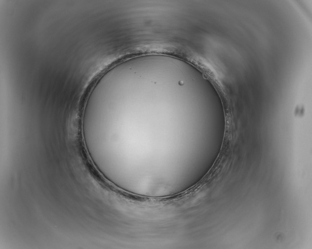 X0000090980012200708091507