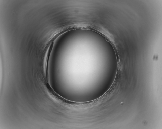 X0000090980013200708091507