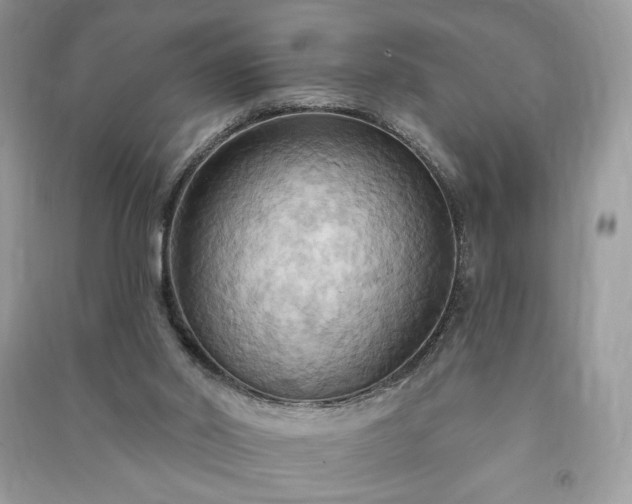 X0000090980014200708091507