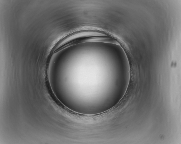 X0000090980015200708091507