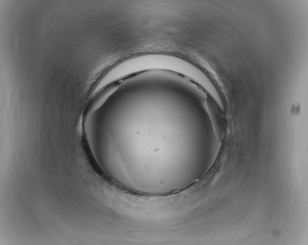 X0000090980019200708091507