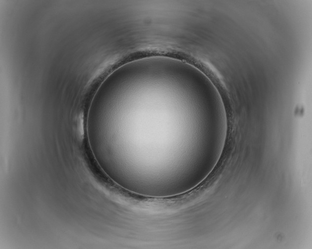 X0000090980020200708091507