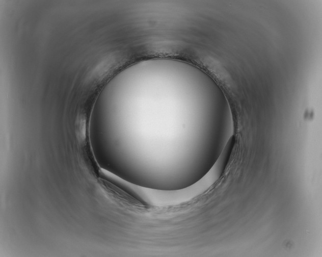 X0000090980021200708091507