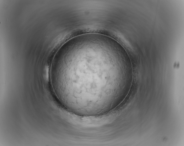 X0000090980022200708091507