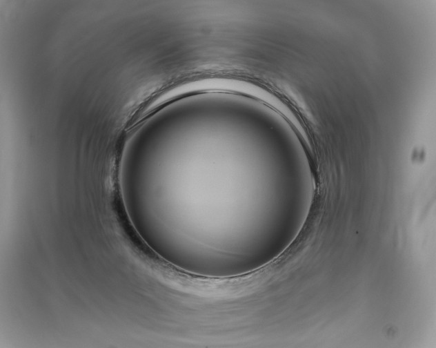 X0000090980023200708091507
