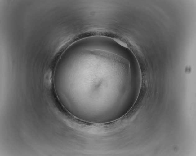 X0000090980024200708091507