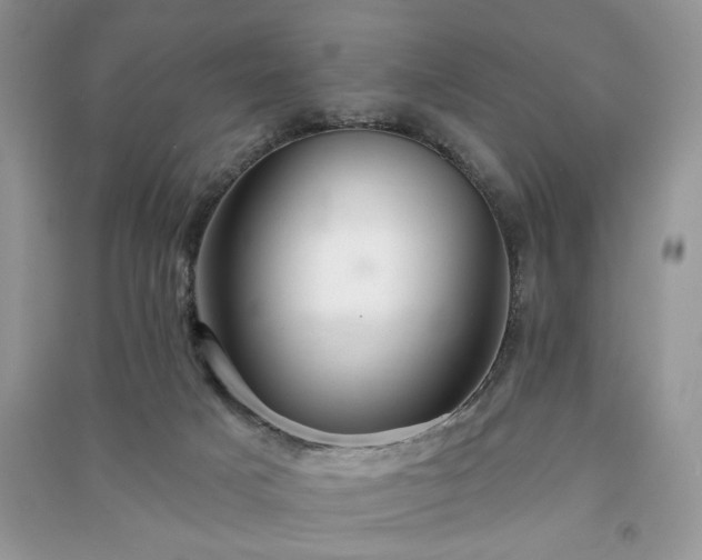X0000090980025200708091507