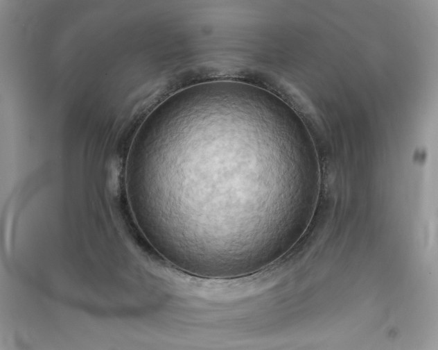X0000090980026200708091507
